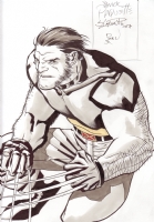 Wolverine by Yanick Paquette Comic Art